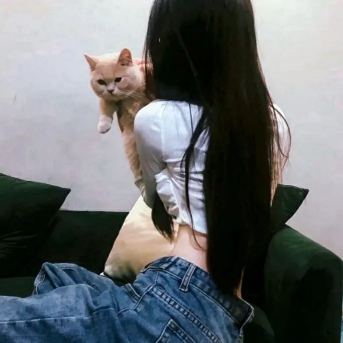 抛妻奇谈2